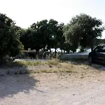 Jtv Simuni كولان